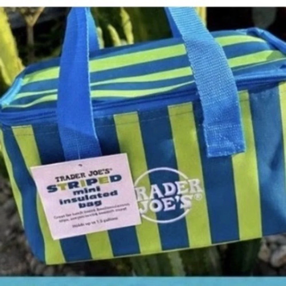 Trader Joe's Mini Insulated Bag Bundle Set of 3 Striped Tropical Teal Lime NEW - Picture 6 of 6